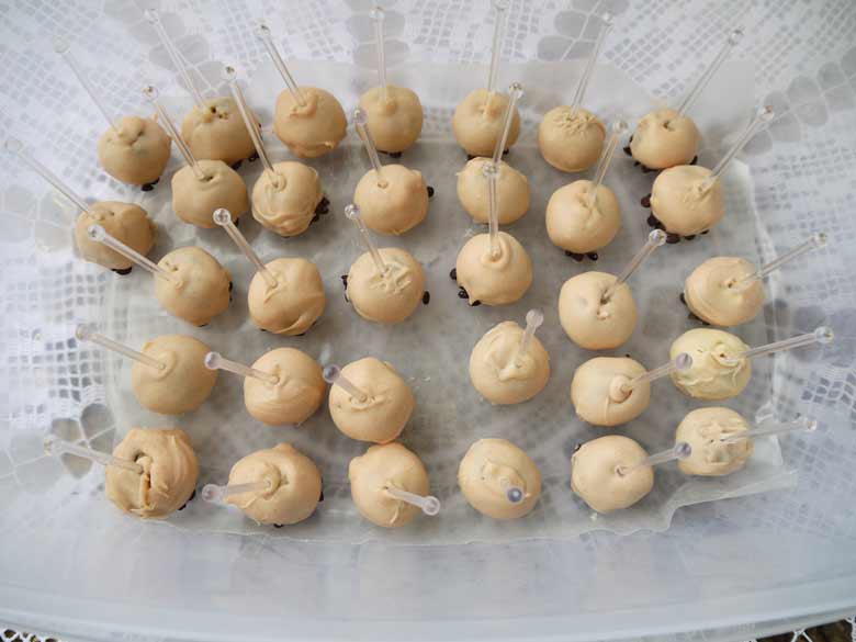 White-Chocolate-Covered-Cookie-Dough-Bites-perchancetocook