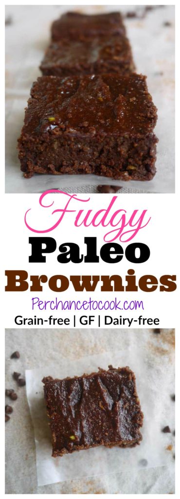 Fudgy Paleo Brownies (GF) | Perchance to Cook, www.perchancetocook.com