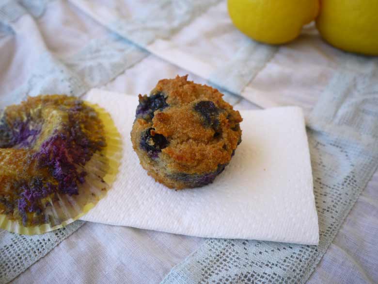 All Seasons Blueberry Muffins (paleo, GF) | Perchance to Cook, www.perchancetocook.com