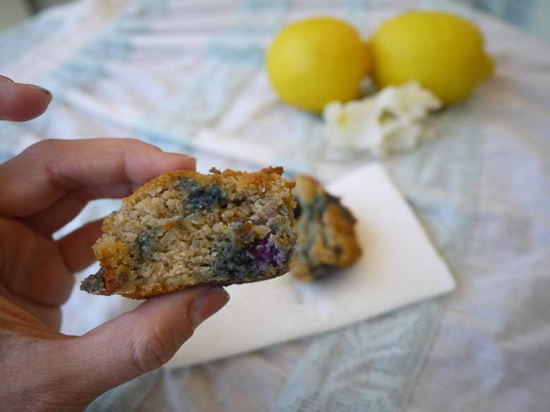 All Seasons Blueberry Muffins (paleo, GF) | Perchance to Cook