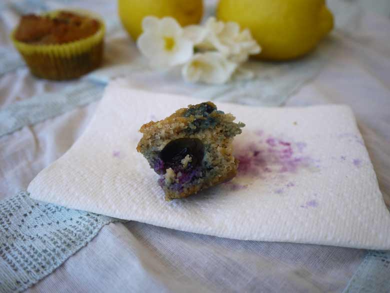 All Seasons Blueberry Muffins (paleo, GF) | Perchance to Cook, www.perchancetocook.com