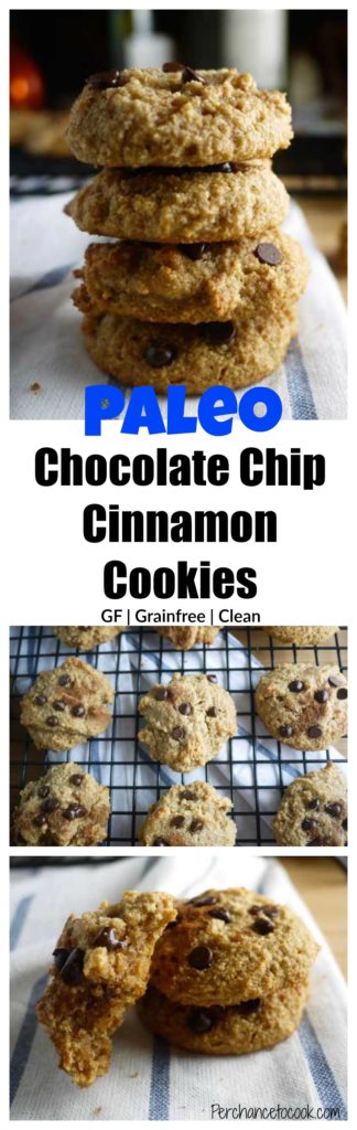Chocolate Chip Cinnamon Cookies (paleo, GF) | Perchance to Cook, www.perchancetocook.com