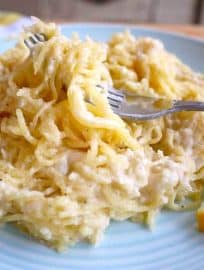 Lemon Alfredo Spaghetti Squash (paleo, GF, dairy-free) | Perchance to Cook, www.perchancetocook.com