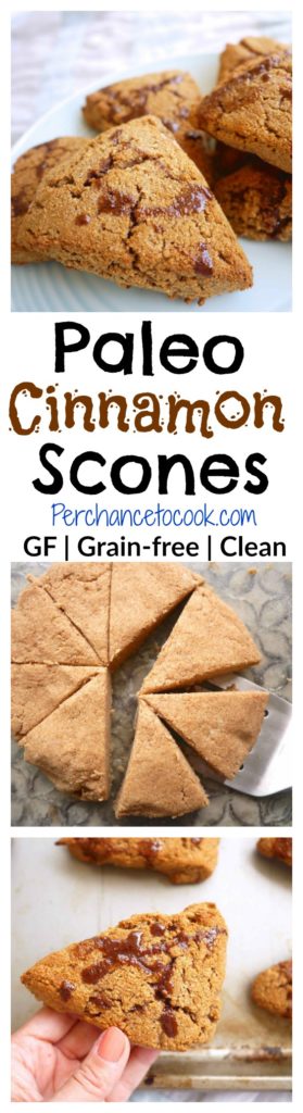 Paleo Cinnamon Scones (GF) |www.PerchanceToCook.com