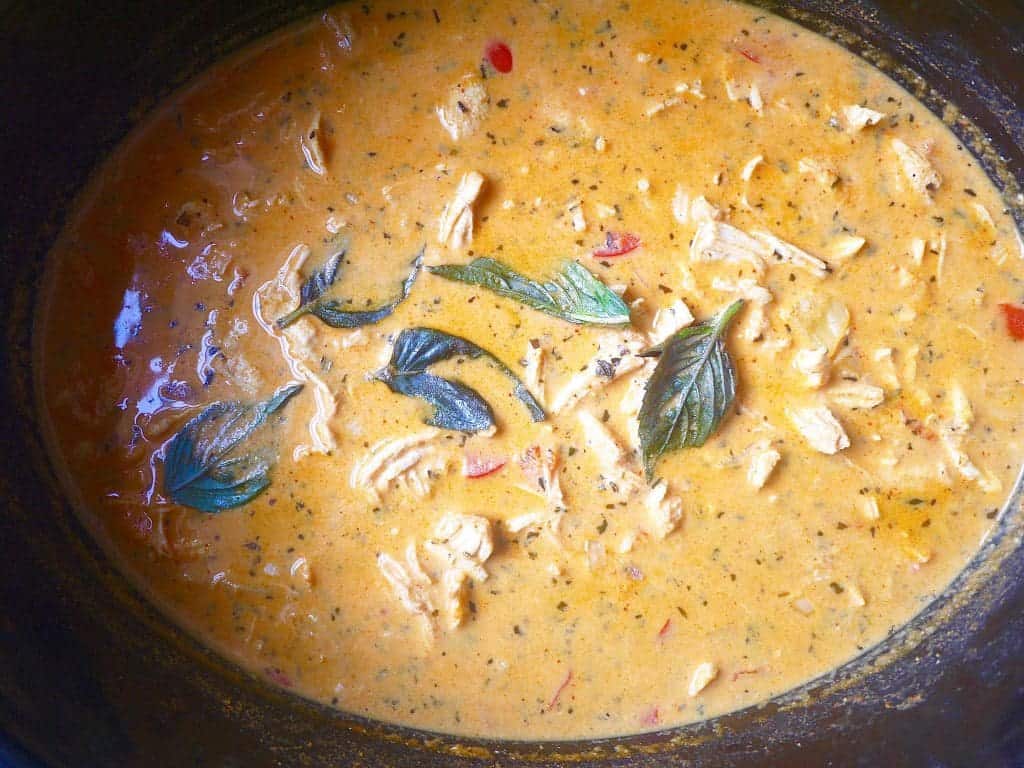 Red-Coconut-Curry-Pulled-Chicken-paleo-perchancetocook-5