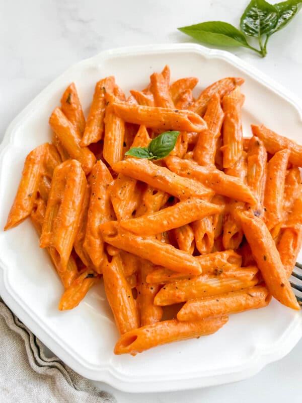 Dairy-free vodka sauce with penne on a plate.