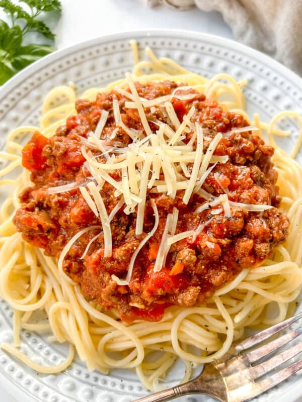 Bison bolognese mixed into spaghetti on a plate.