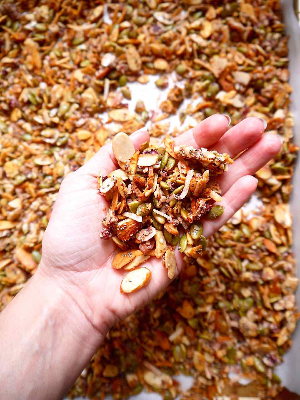 Cherry granola in someone's hands.