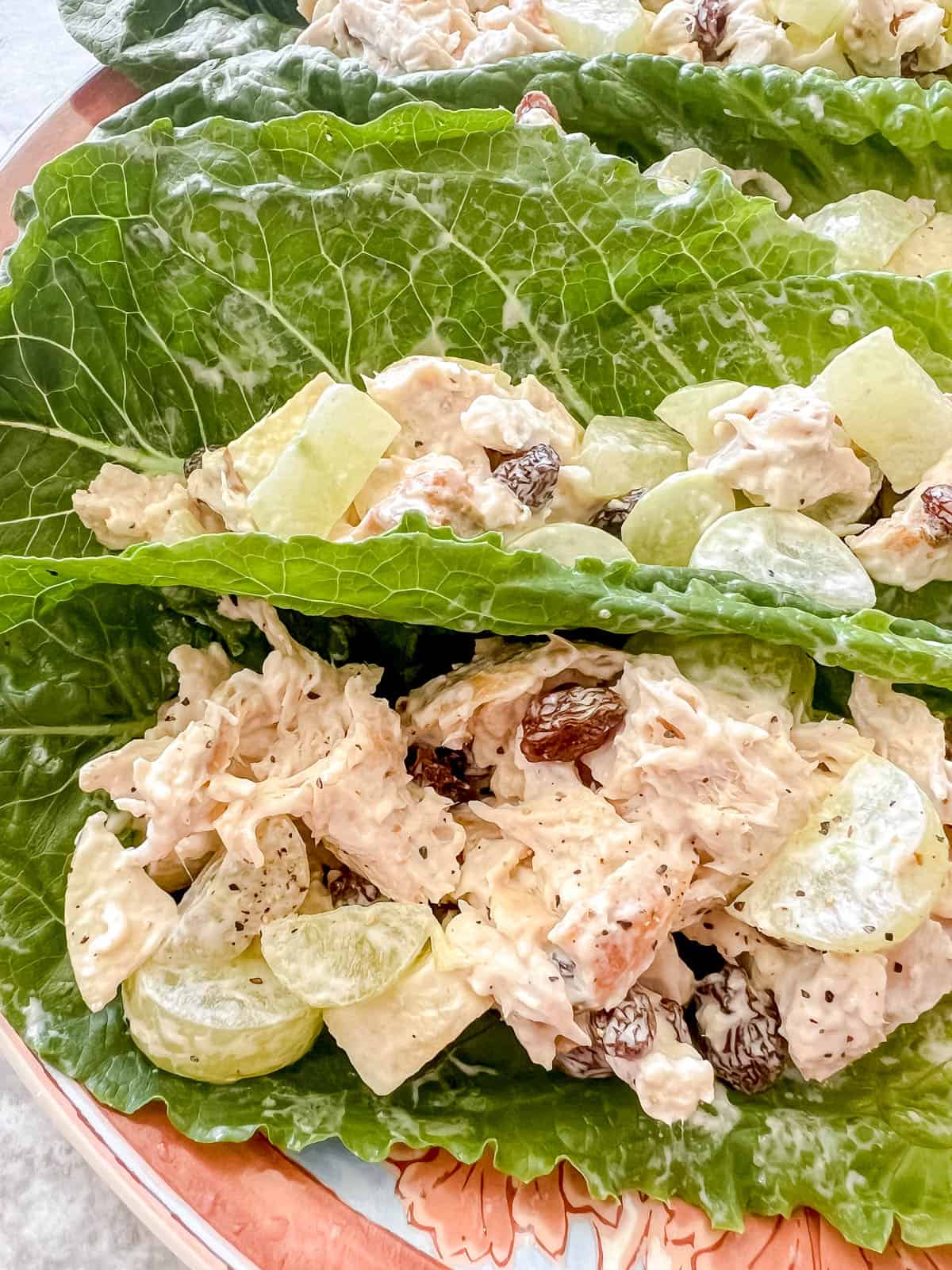 Lettuce wrap chicken salad on a plate.