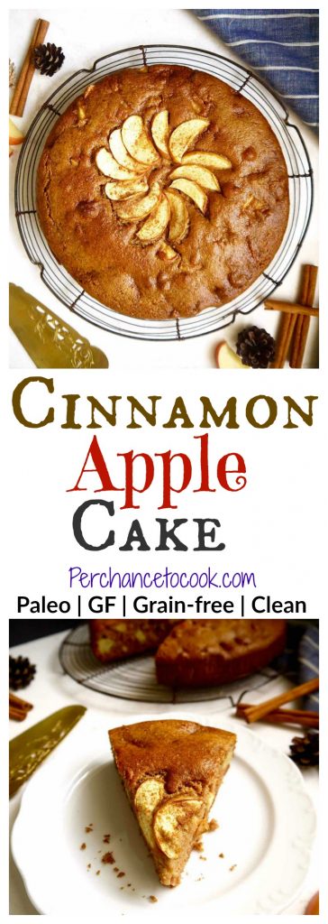 Cinnamon Apple Cake { Paleo, GF } | Perchance to Cook, www.perchancetocook.com