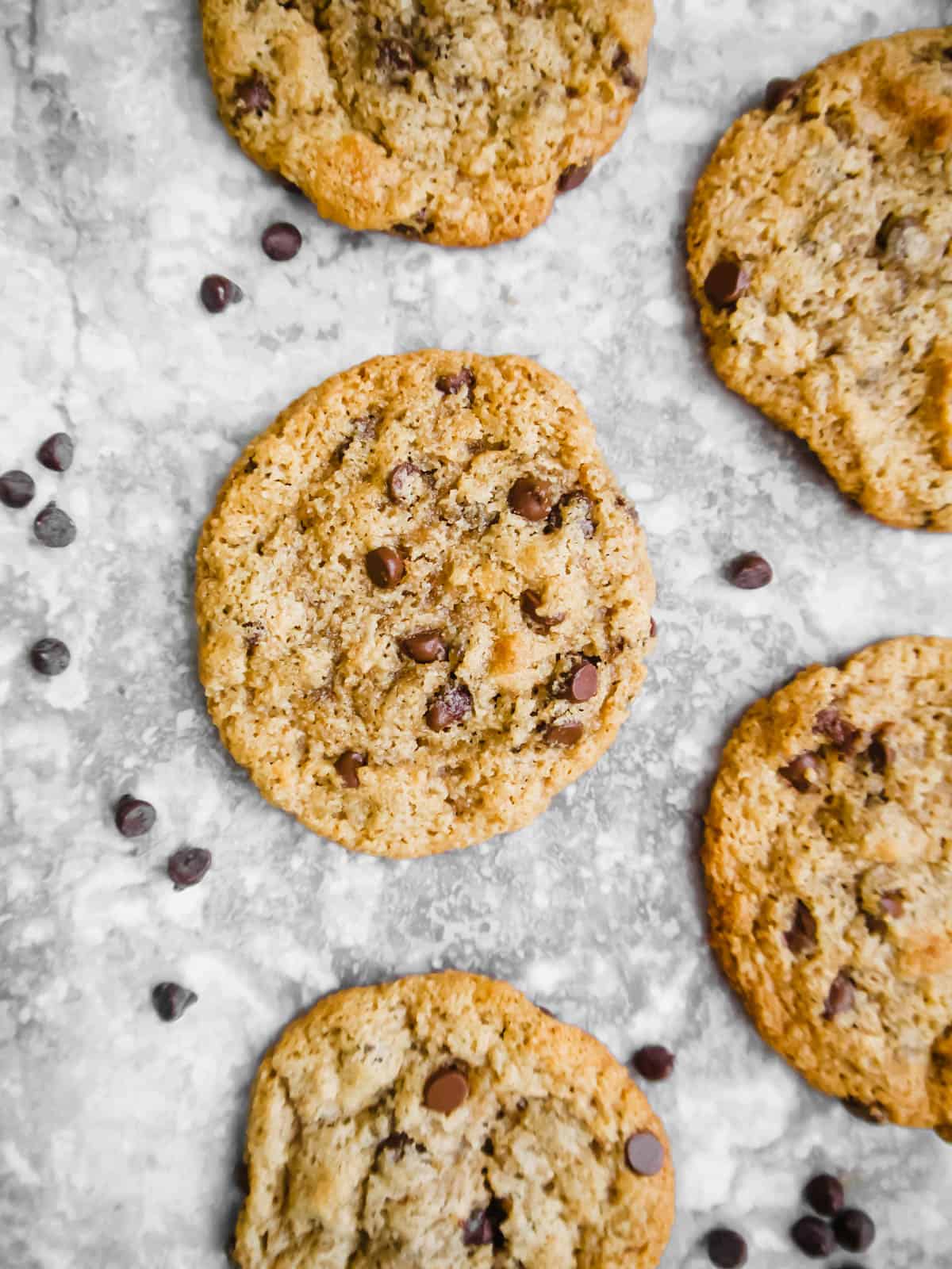 Edible Eggless Chocolate-Chip-Cookie-Dough-Paleo-GF-Vegan ...