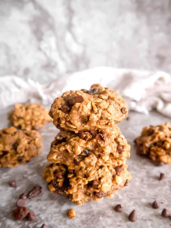 The Best Lactation Cookies (Dairy-free) | Perchance to Cook, www.perchancetocook.com