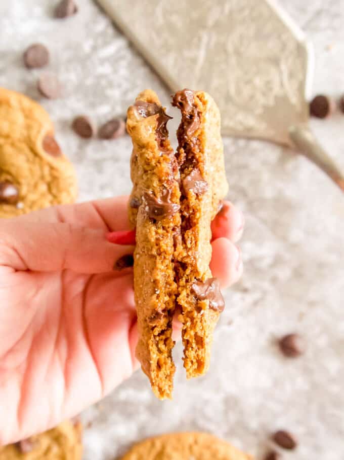 Crispy Paleo Chocolate Chip Cookie Recipe | Perchance to Cook, www.perchancetocook.com