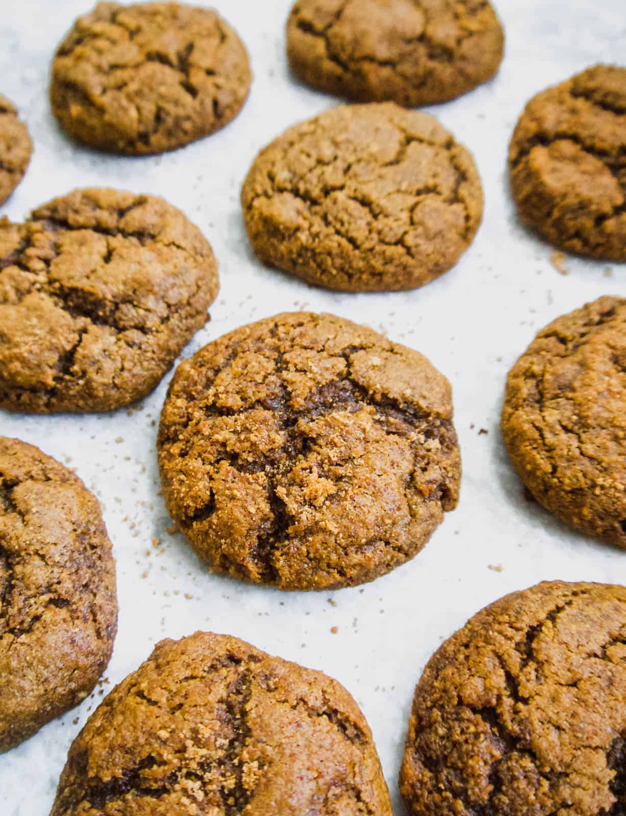 Paleo molasses cookies on a cookie sheet.