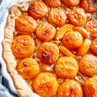 Apricot tart freshly baked and out of the oven.