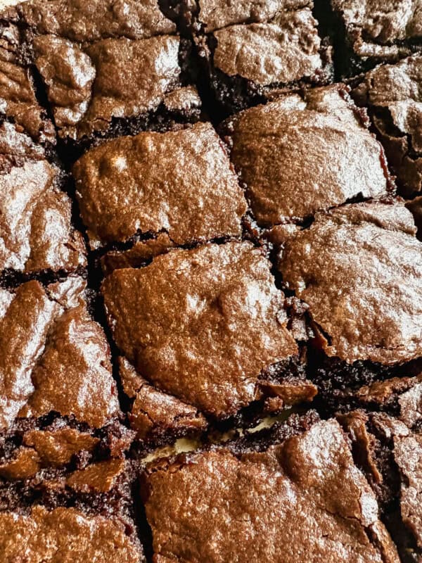Olive oil brownies freshly cut after baking.
