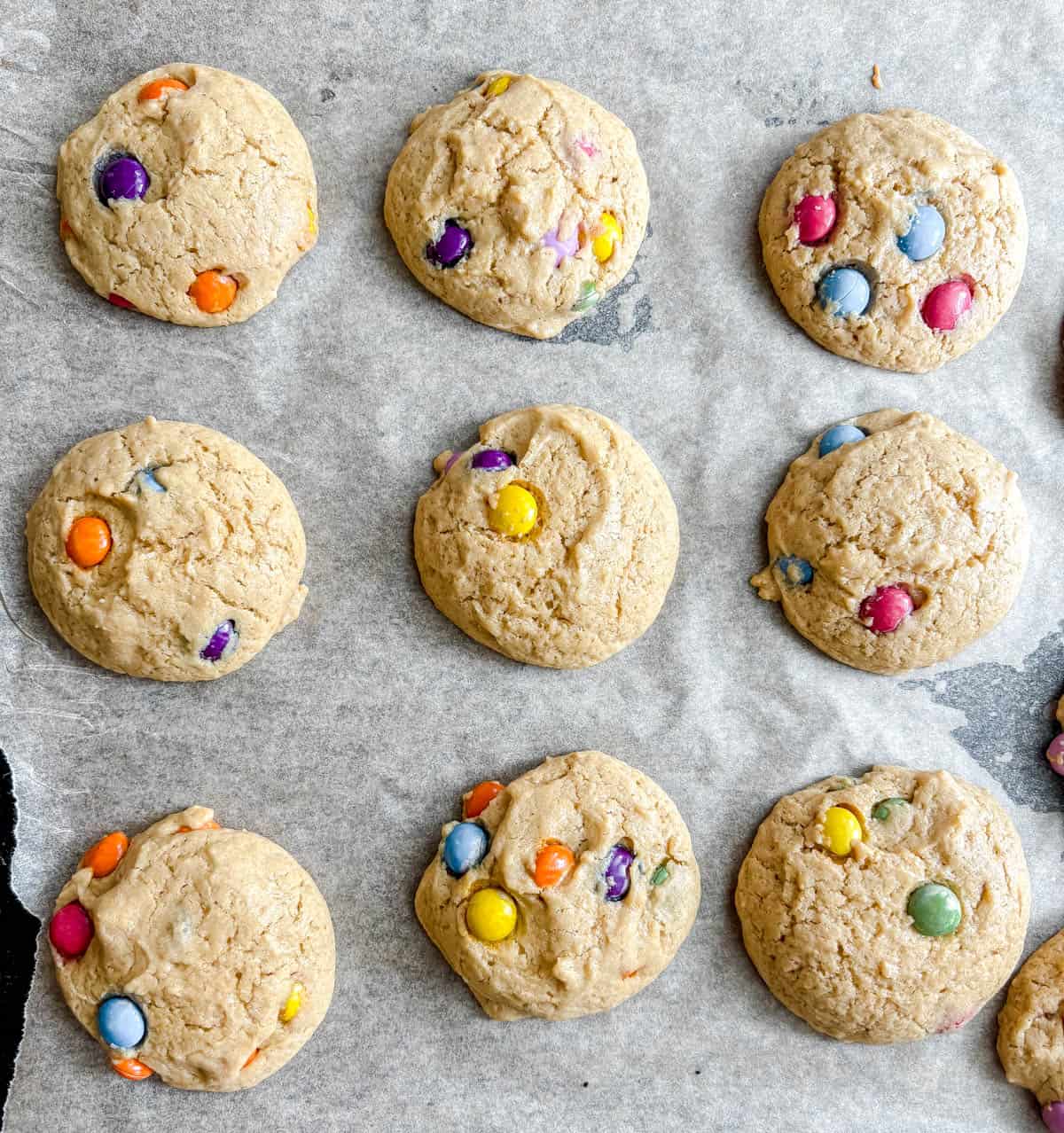 Chocolate chip cookies on a pan after baking.